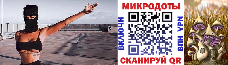 Галлюциногенные грибы Magic Shrooms  Купить  Елизово 